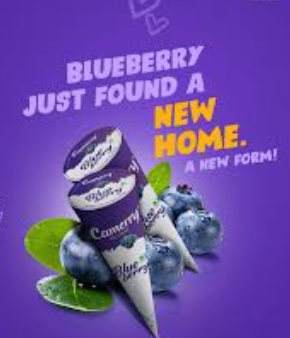 CM Cone Blueberry